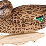 Flambeau Outdoors Storm Front 2 Green-Winged Teal Decoys, Classic Floaters - 6-Pack